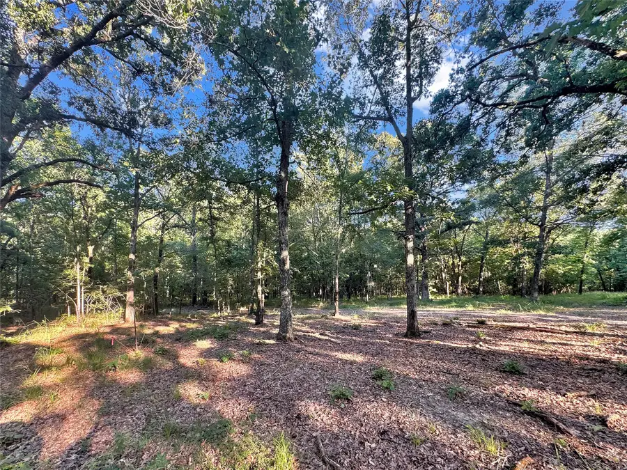 TBD Pr 5040 & 5041, Bogata, TX 75417 - #3