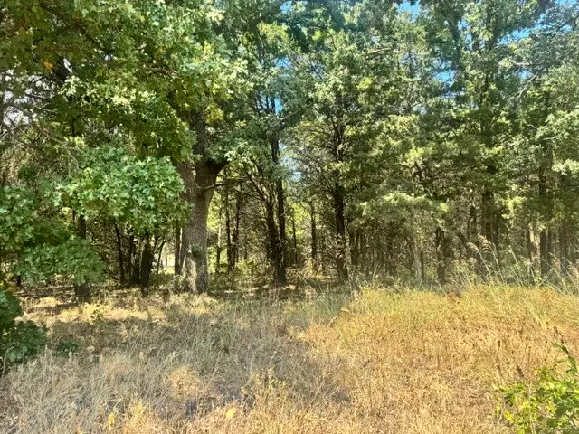 TBD Pine Hills Lane, Gordonville, TX 76245 - #2