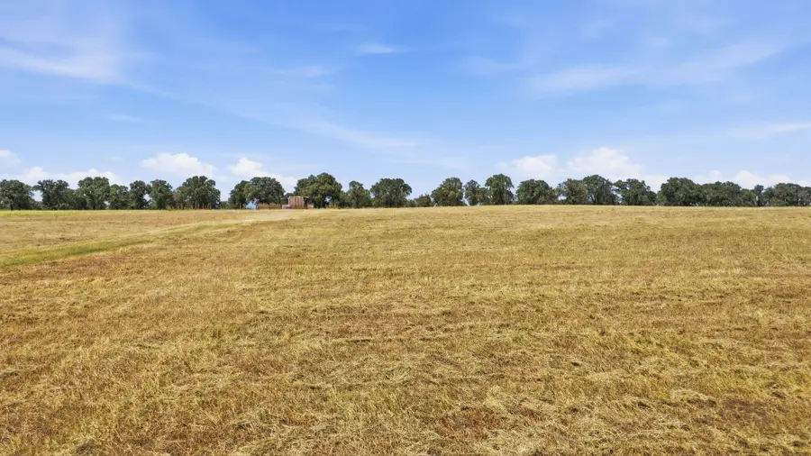 374 Cr 475, De Leon, TX 76444 - #3