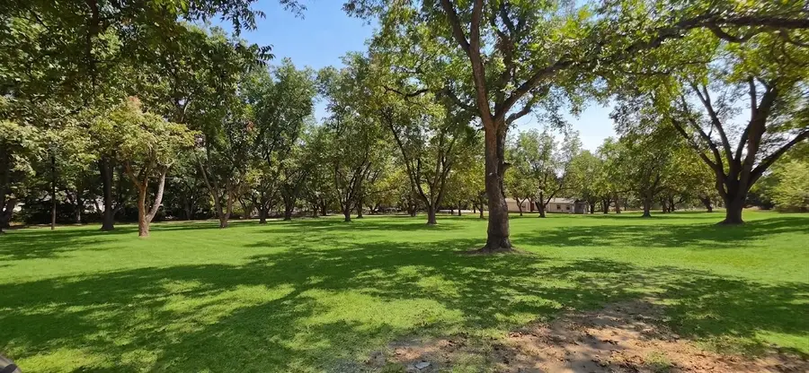 1210 E Texas Street, Denison, TX 75021 - #3