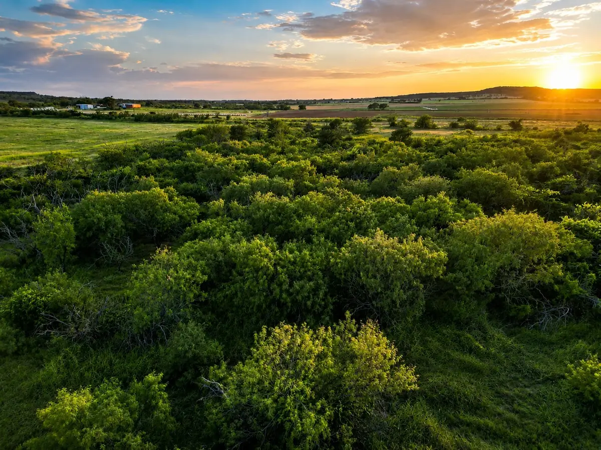 1448 County Road 129, Rising Star, TX 76471 - #1