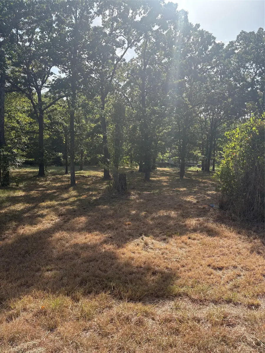 124 Point La Vista, Malakoff, TX 75148 - #2