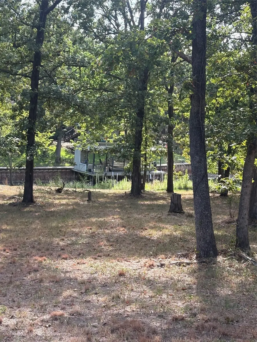 124 Point La Vista, Malakoff, TX 75148 - #3