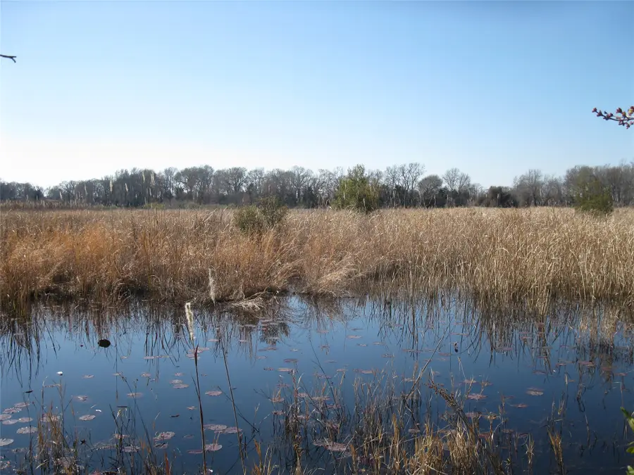 TBD 133 AC +- Vz County Road 4701, Ben Wheeler, TX 75754 - #3
