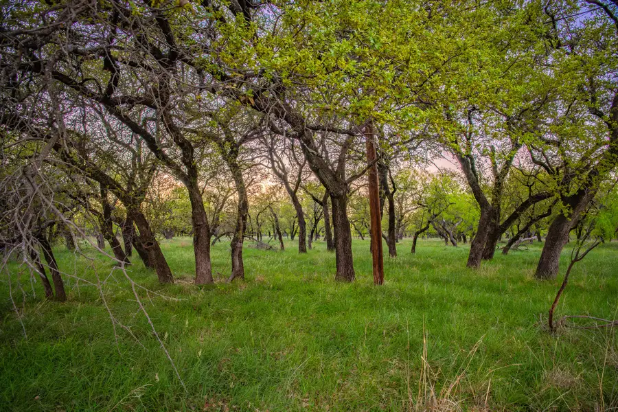 Lot 18 Firewheel, Graford, TX 76449 - #3