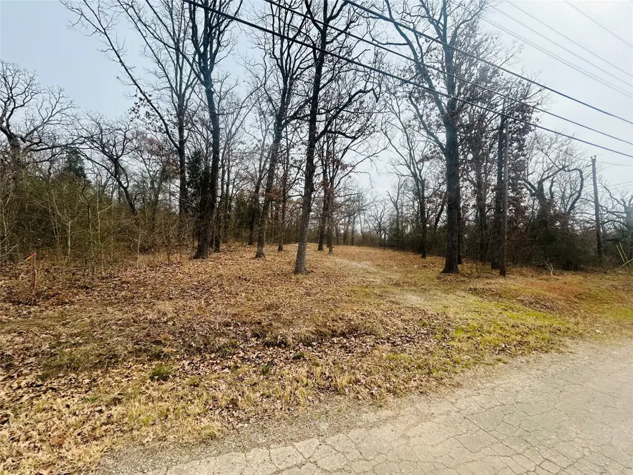 5226 Tom Hickman Lane, Log Cabin, TX 75148 - #2