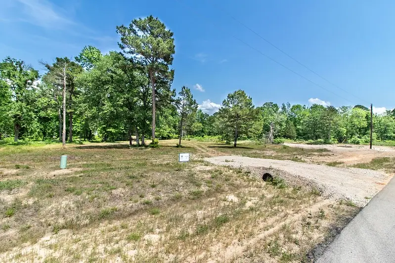 3126 Shadow Pine Drive, Larue, TX 75770 - #3