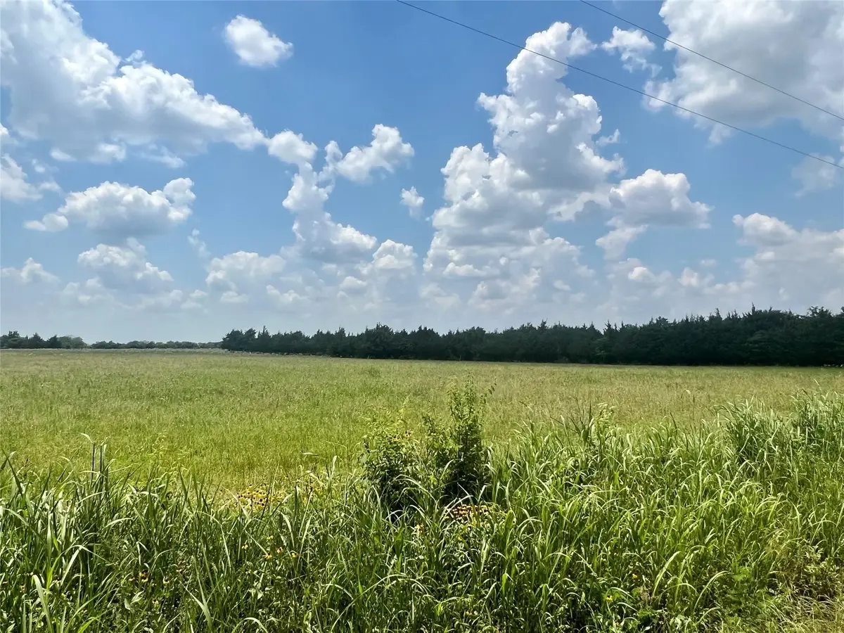 3442 County Road 15100, Blossom, TX 75416 - #1