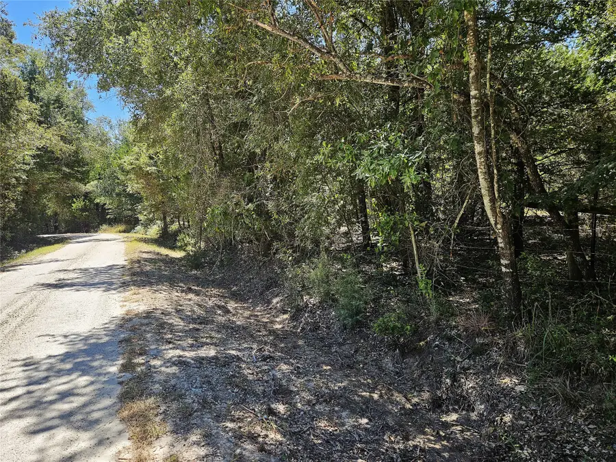 3.151 Acres Love Road, Kosse, TX 76653 - #2