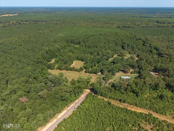 0 Rocky Mount Road, Plain Dealing, LA 71064