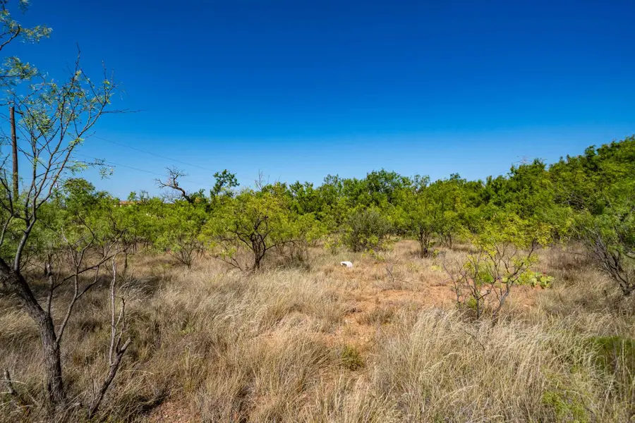 TBD Fm 3034, Abilene, TX 79601 - #2