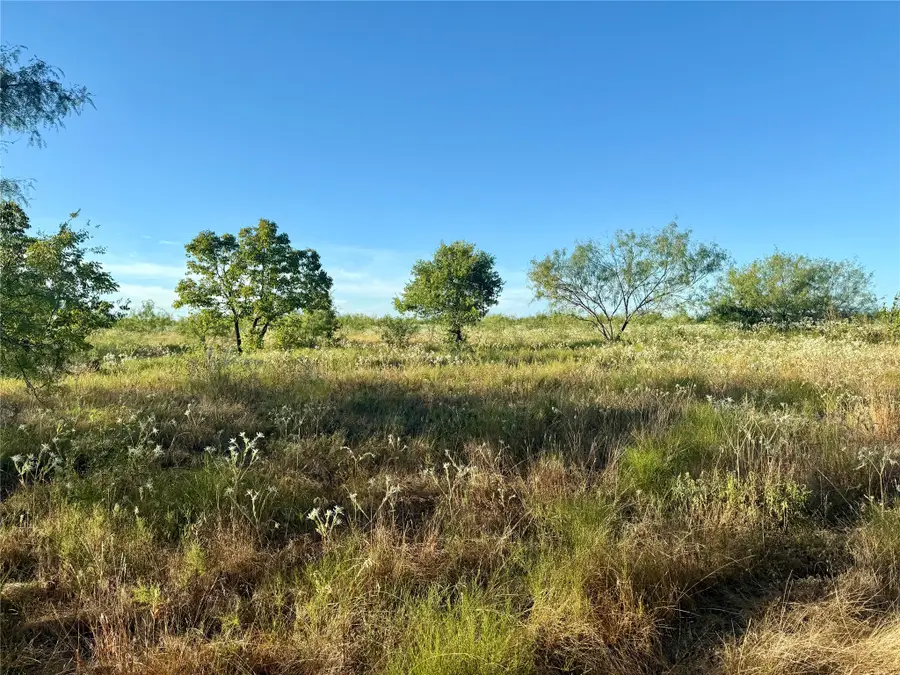 TBD 10 +/- Acres County Road 4102, Kaufman, TX 75142 - #3