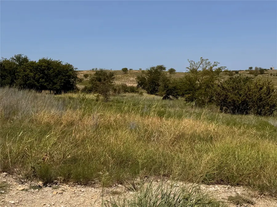 3604 Lucky Pepper Drive, Cresson, TX 76035 - #2