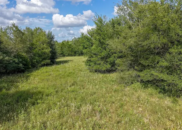 1210 County Road 302, Rockdale, TX 76567