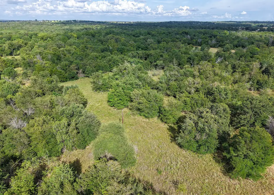 1210 County Road 302, Rockdale, TX 76567 - #3
