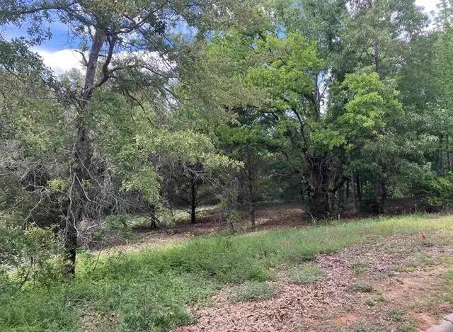 2433 Wellington Trace, Tyler, TX 75709 - #2