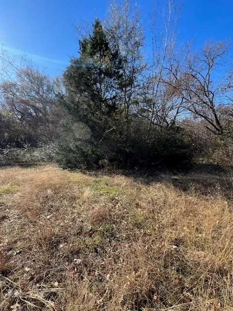 188 Baywood Boulevard, Mabank, TX 75156 - #2