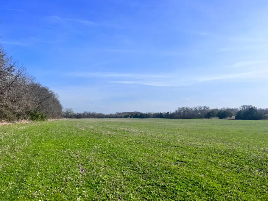 TBD County Road 660, Farmersville, TX 75442 - #2