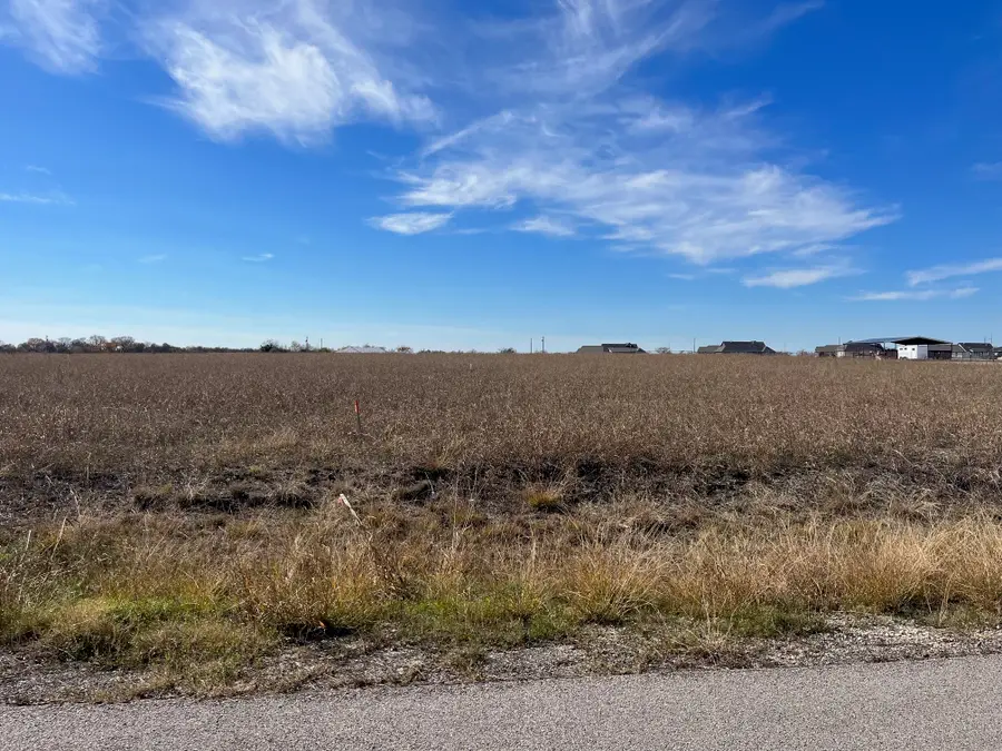 268 Chambers Creek Trail, Alvarado, TX 76009 - #3