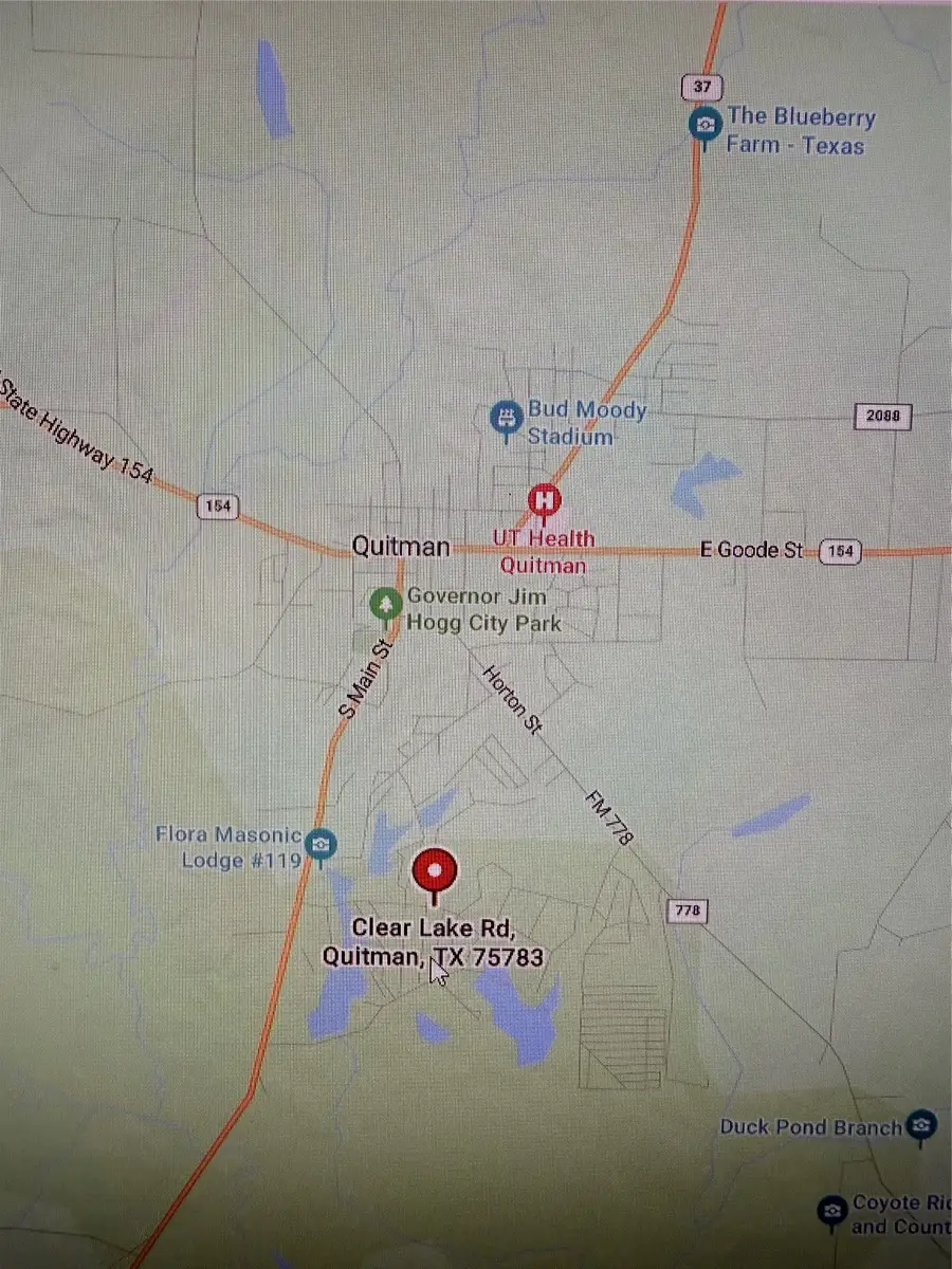 Lot 132 Blk 2 Clear Lake Road, Quitman, TX 75783 - #2