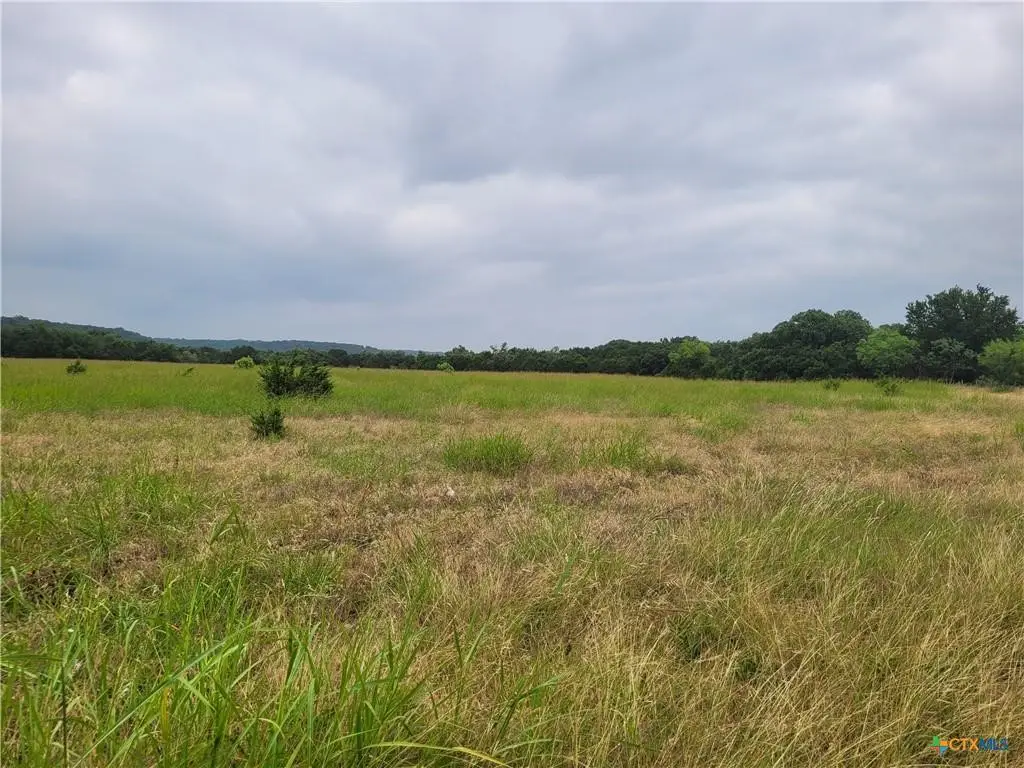 TBD E Highway 190, Kempner, TX 76539 - #1