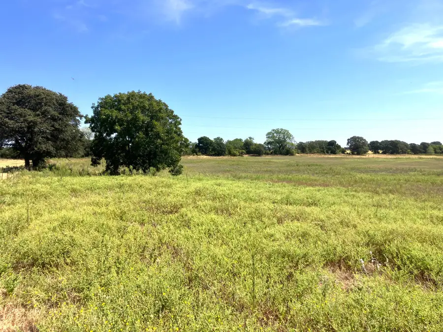 25.49 Acres TBD Highway 6, De Leon, TX 76444 - #2