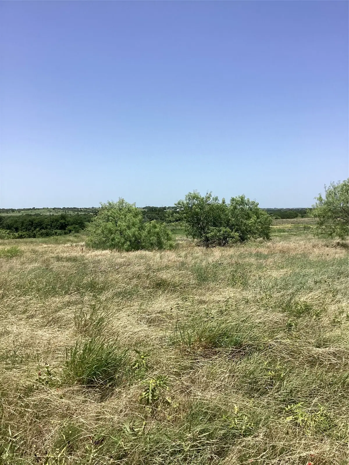 424 Pedernalis, Aledo, TX 76008 - #1