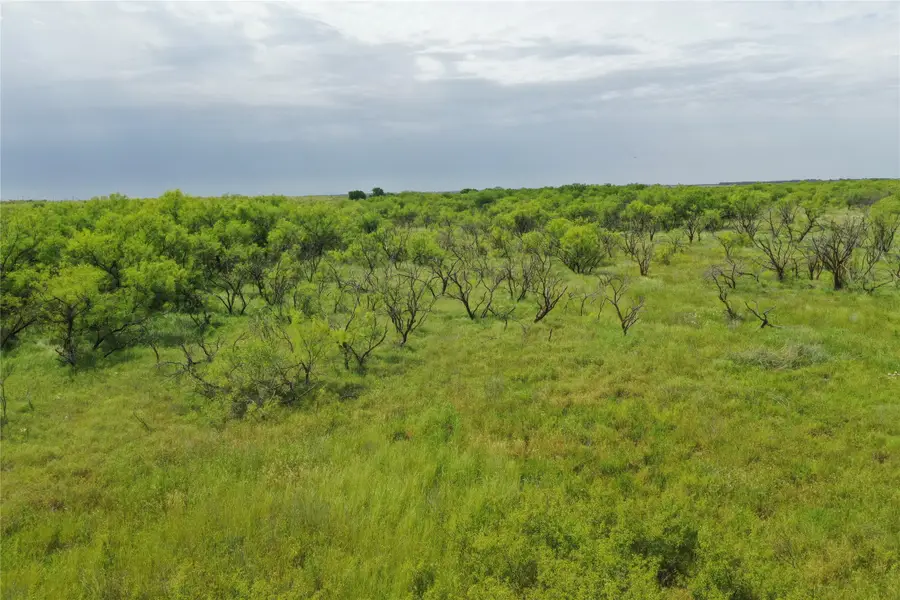 TBD Davis Ln-tract 9, Bellevue, TX 76228 - #3