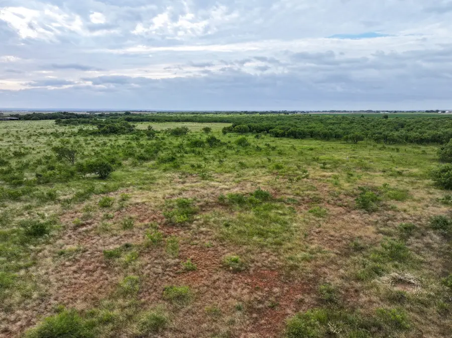 133 Porcupine Trail, Tuscola, TX 79562 - #3