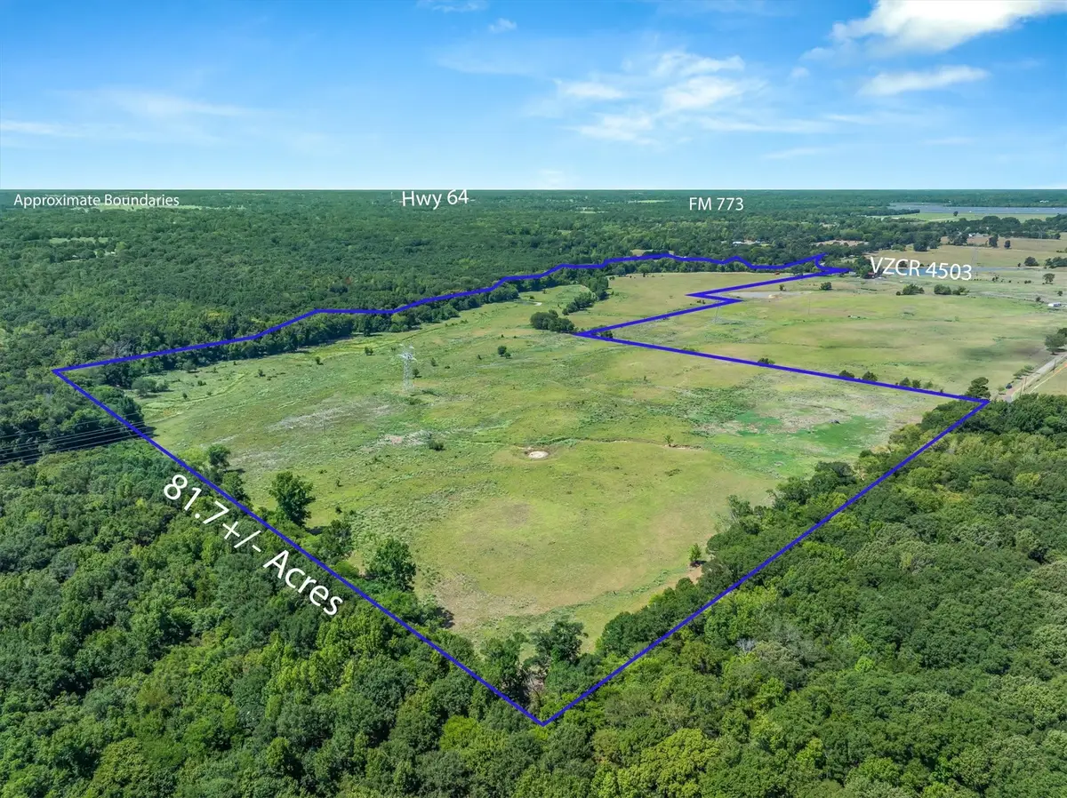 TBD Vz County Road 4503, Ben Wheeler, TX 75754 - #1
