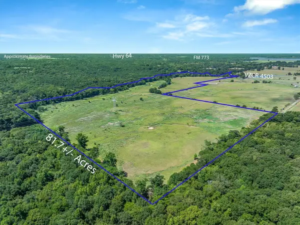 TBD Vz County Road 4503, Ben Wheeler, TX 75754