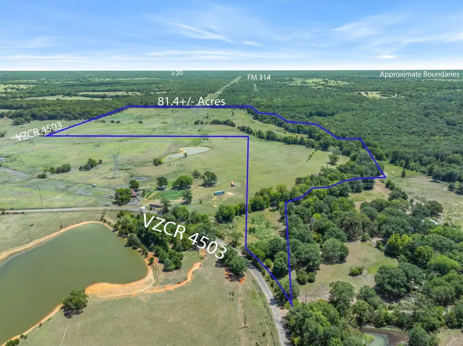 TBD Vz County Road 4503, Ben Wheeler, TX 75754 - #2