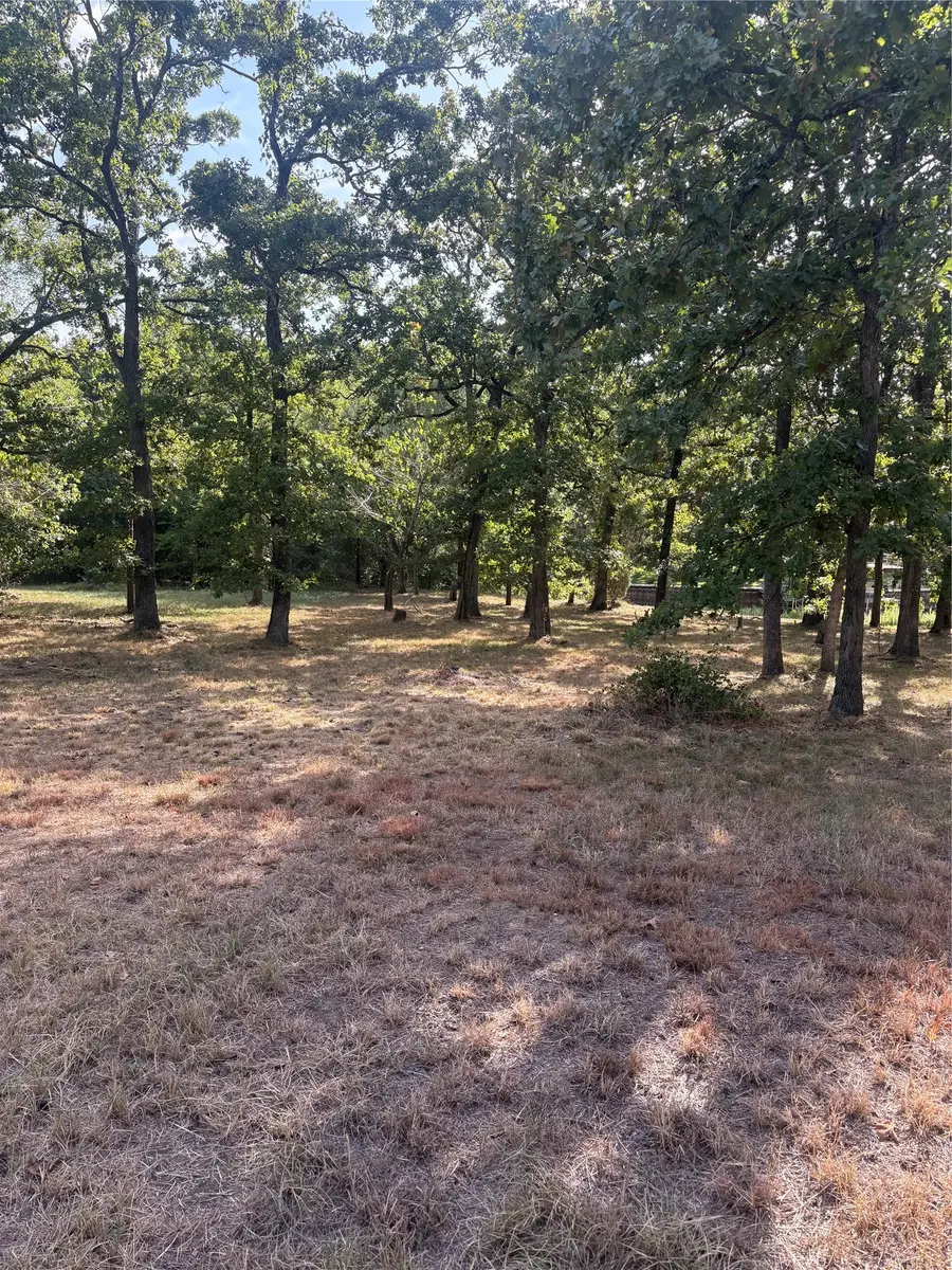 125 Point La Vista, Malakoff, TX 75148 - #2
