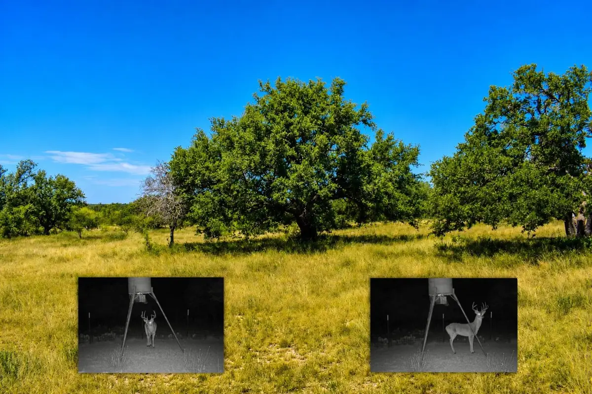 129 Big Buck Run Road, Fort McKavett, TX 76841 - #1
