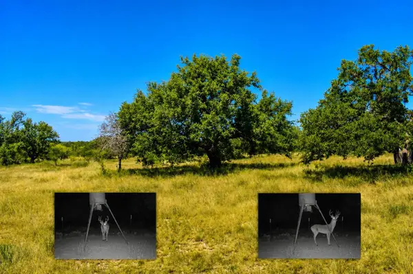 129 Big Buck Run Road, No City, TX 76841