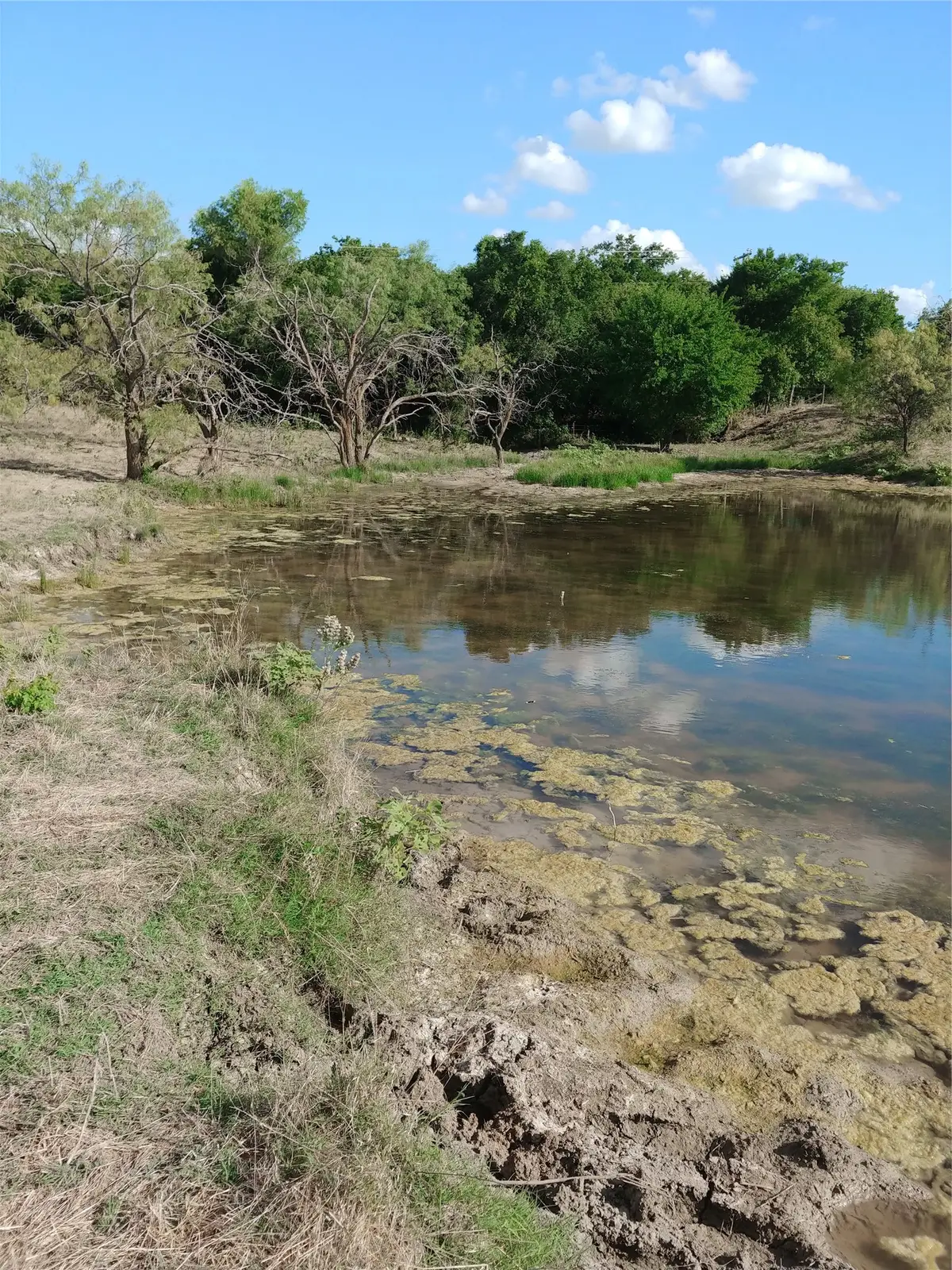 Private Road 451 Private Road 451, Grandview, TX 76050 - #1