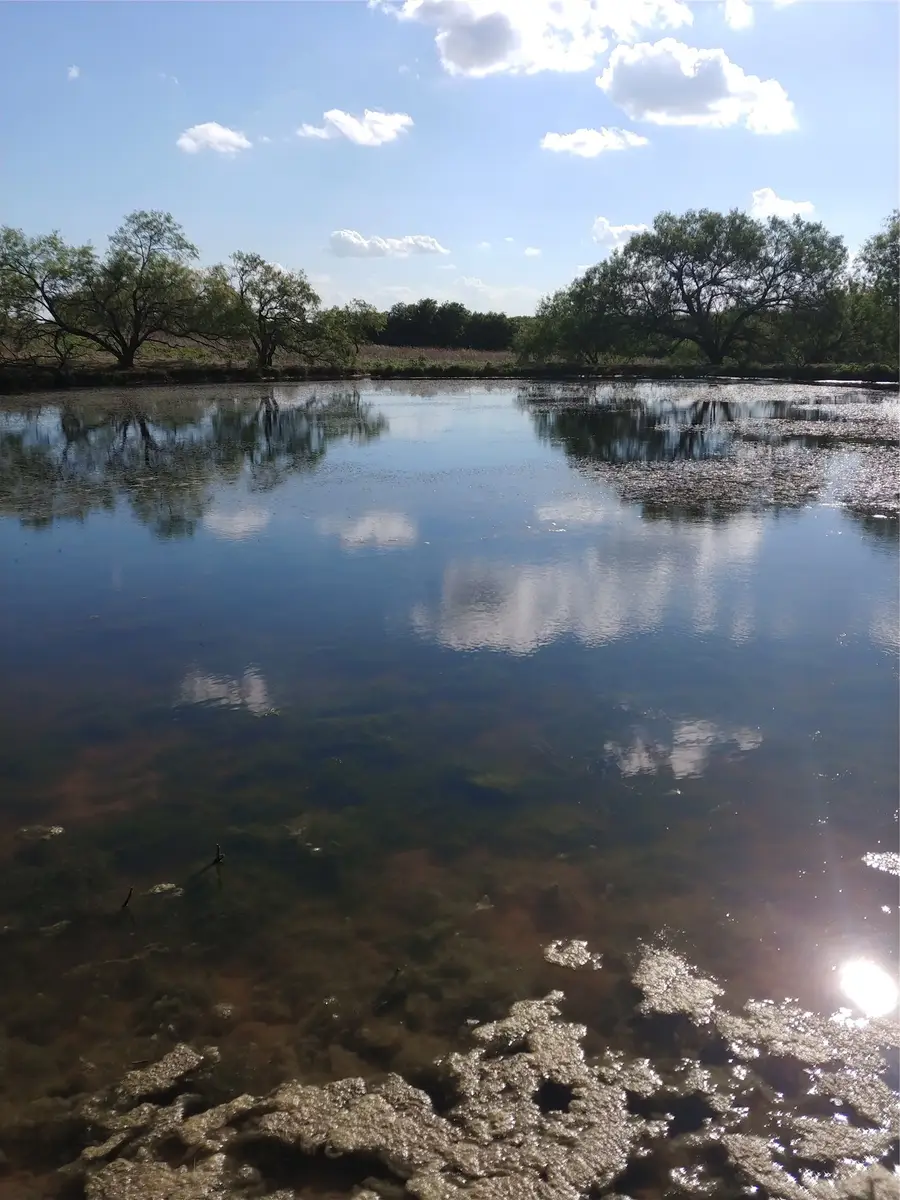 Private Road 451 Private Road 451, Grandview, TX 76050 - #2