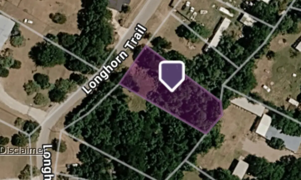 163 Longhorn Trail, Weatherford, TX 76087 - #1