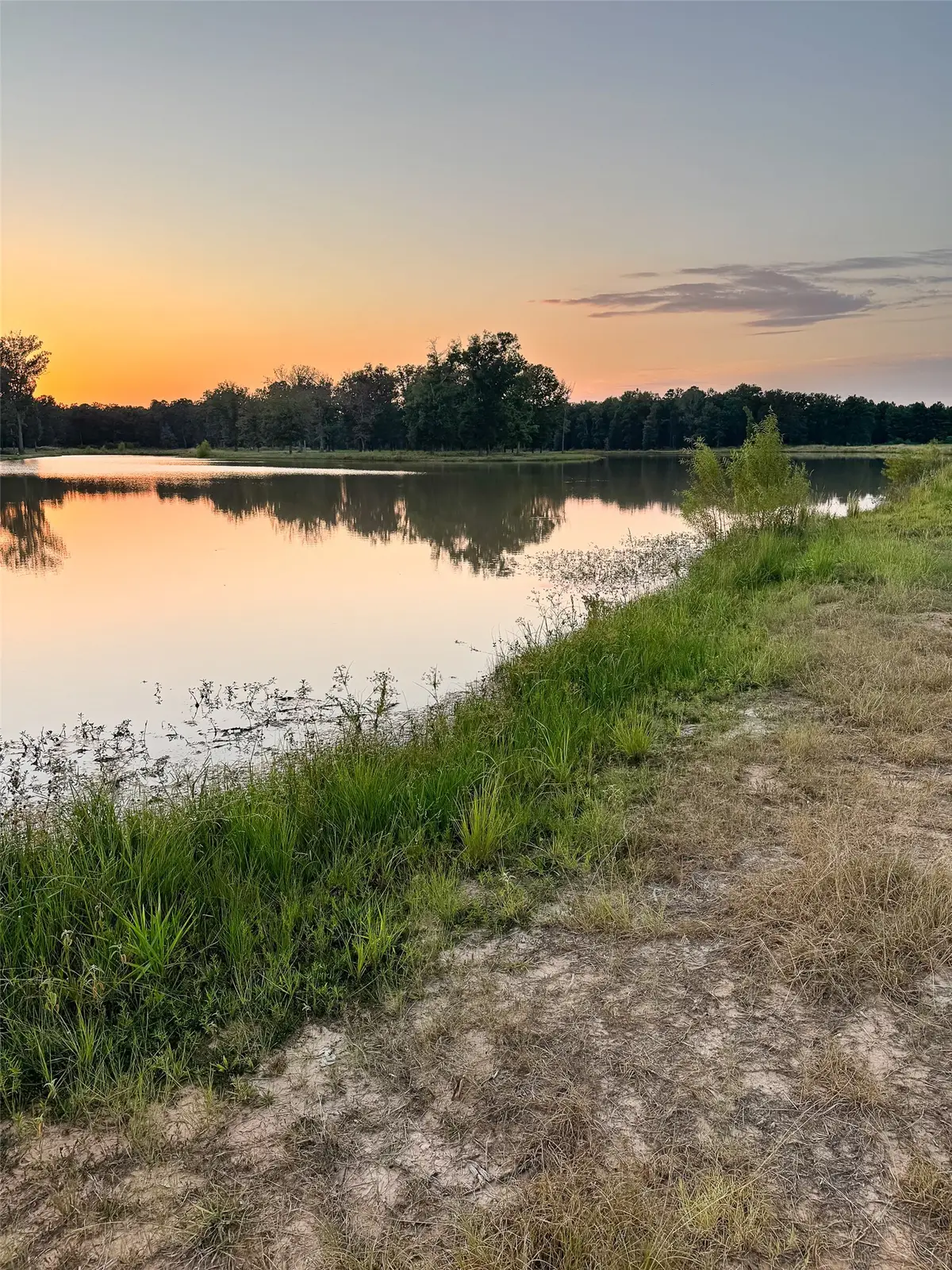 Lot 22 Shumard Circle Shumard Circle, Shreveport, LA 71106 - #1