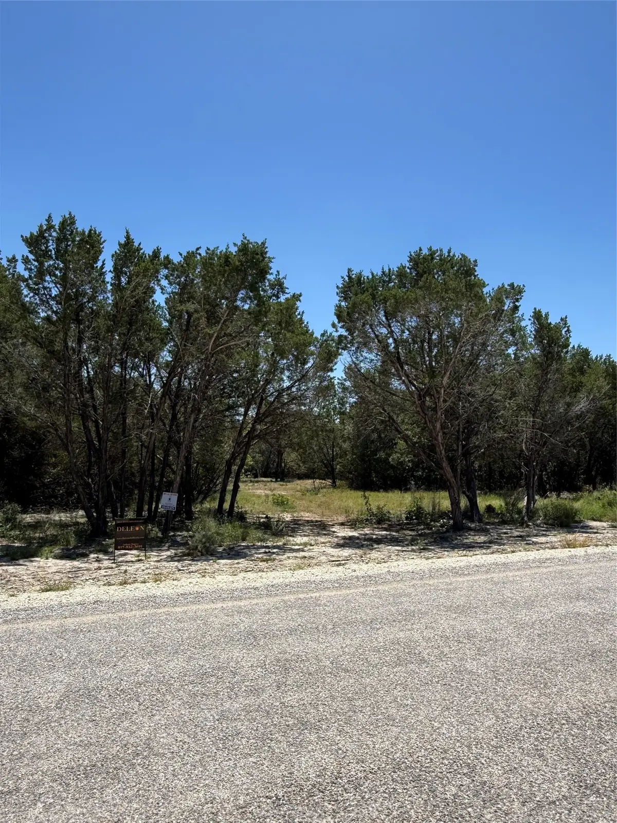 11023 Paradise Boulevard, Bluff Dale, TX 76433 - #1