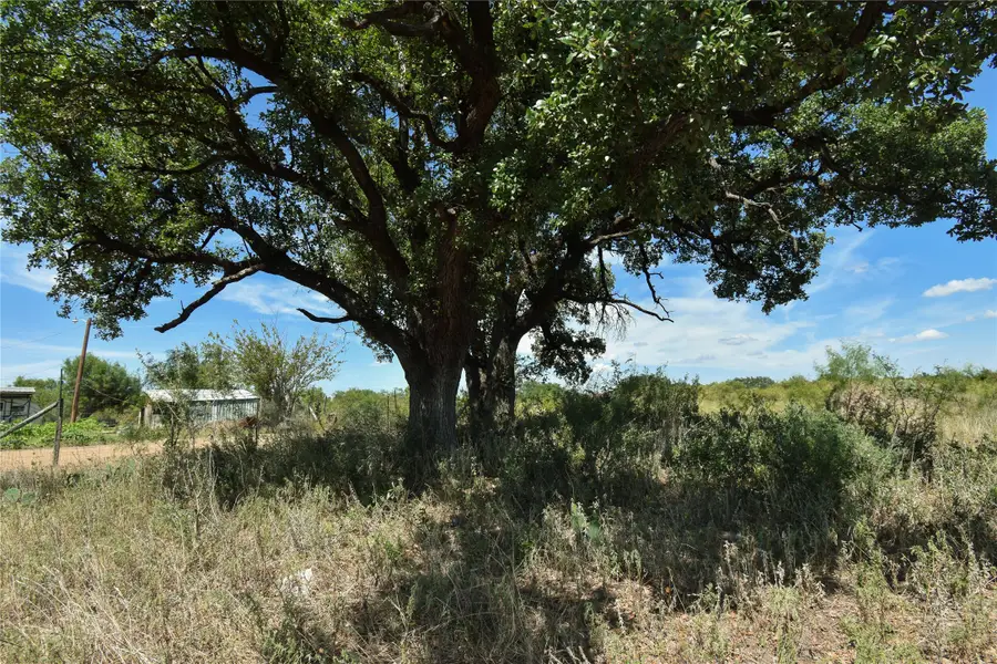420 Maddox, Eden, TX 76837 - #3