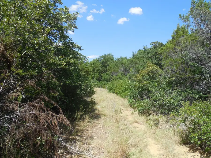TBD East Loop 254, Ranger, TX 76470 - #3