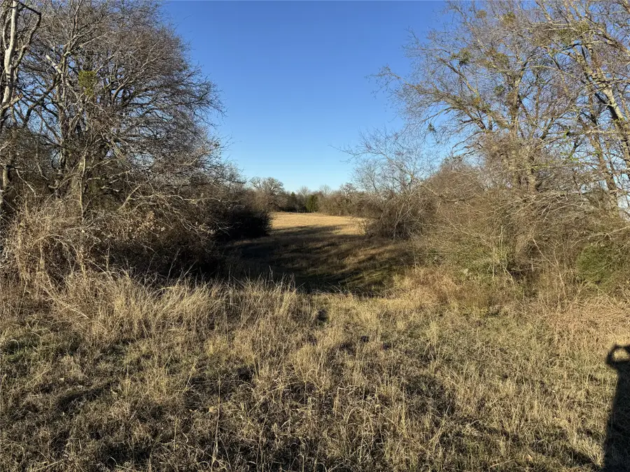 TBD Co Rd 4026, Kemp, TX 75143 - #2