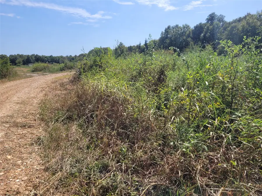 TBD County Road 4135, Clarksville, TX 84526 - #2