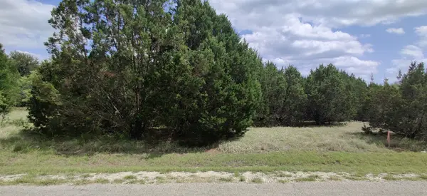 32047 Dove Trail, Whitney, TX 76692