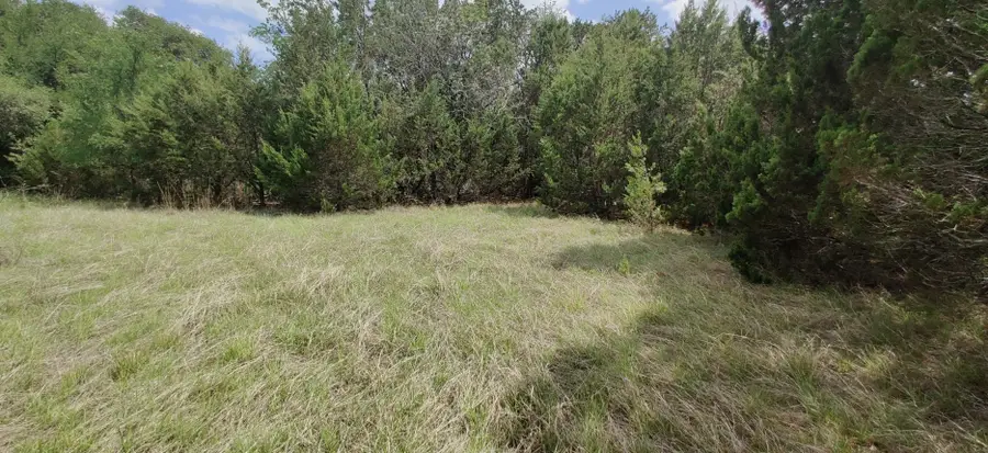 32047 Dove Trail, Whitney, TX 76692 - #3