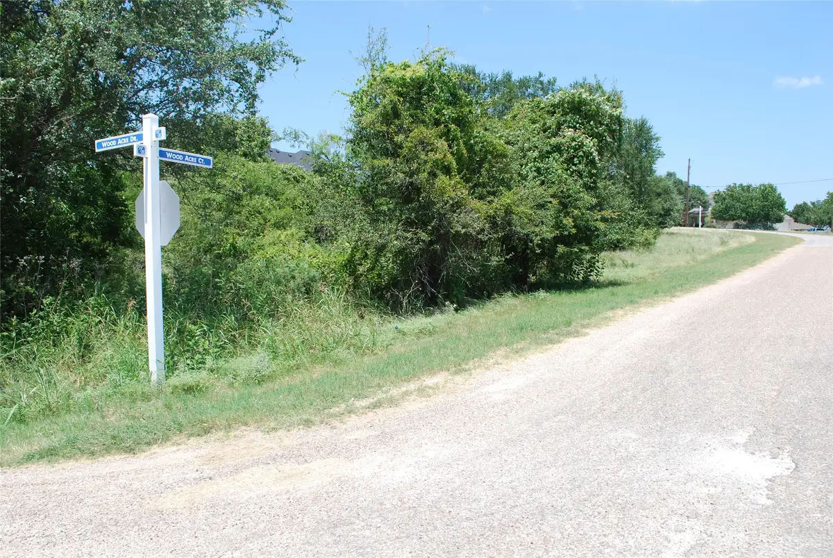 26018 Woodacre Drive, Whitney, TX 76692 - #1
