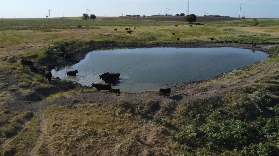 1630 Fm 1198, Muenster, TX 76252 - #3