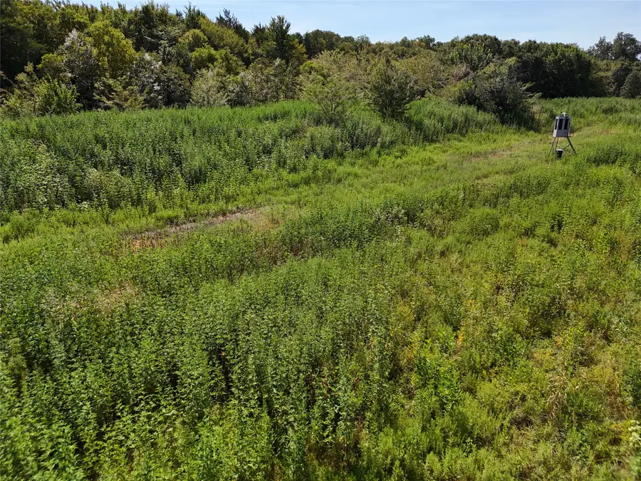 001701 Cr 2770, Honey Grove, TX 75446 - #2