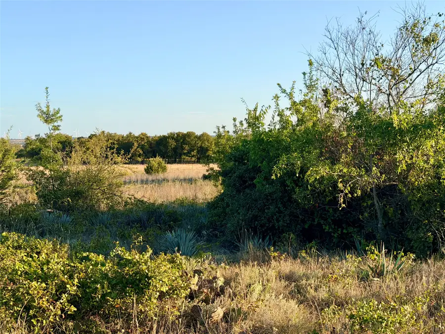 37 Pr 224, Goldthwaite, TX 76844 - #3